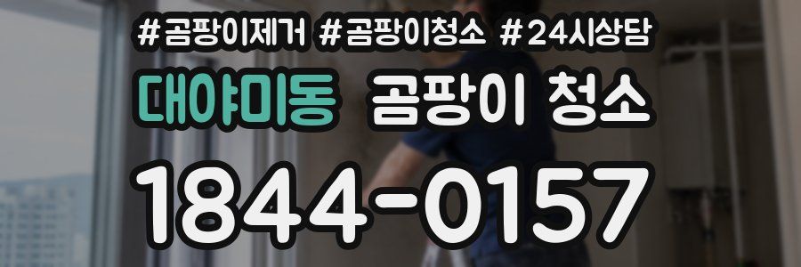 대야미동 곰팡이 청소