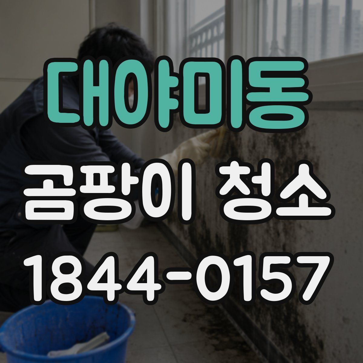 대야미동 곰팡이 청소