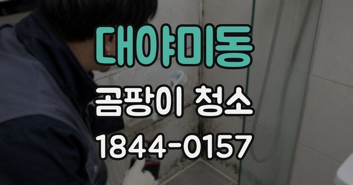대야미동 곰팡이 청소