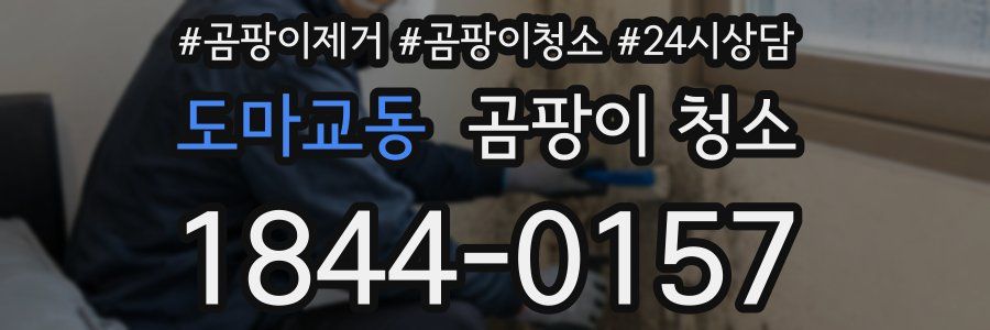 도마교동 곰팡이 청소