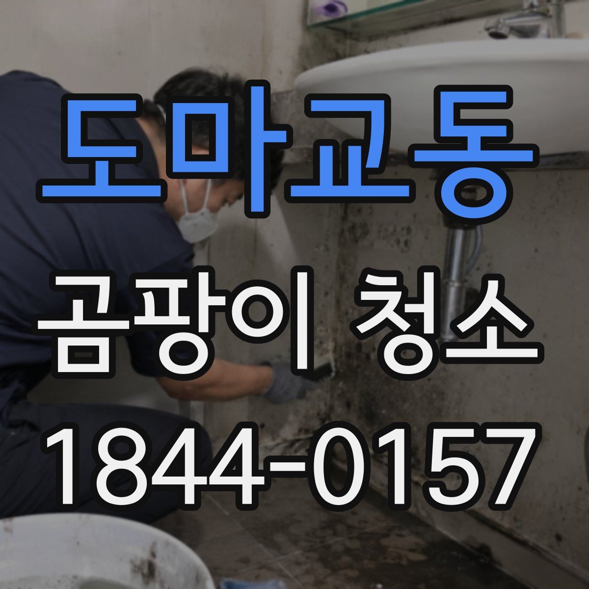 도마교동 곰팡이 청소
