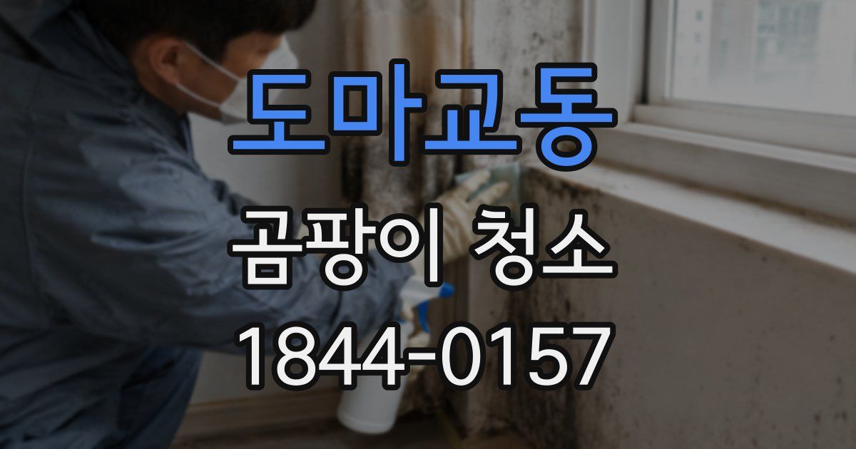 도마교동 곰팡이 청소