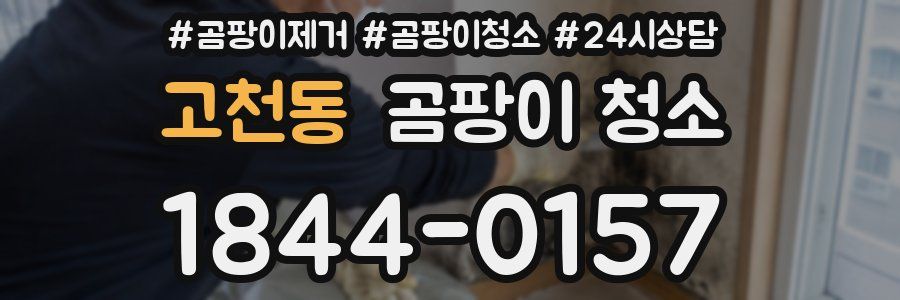 고천동 곰팡이 청소