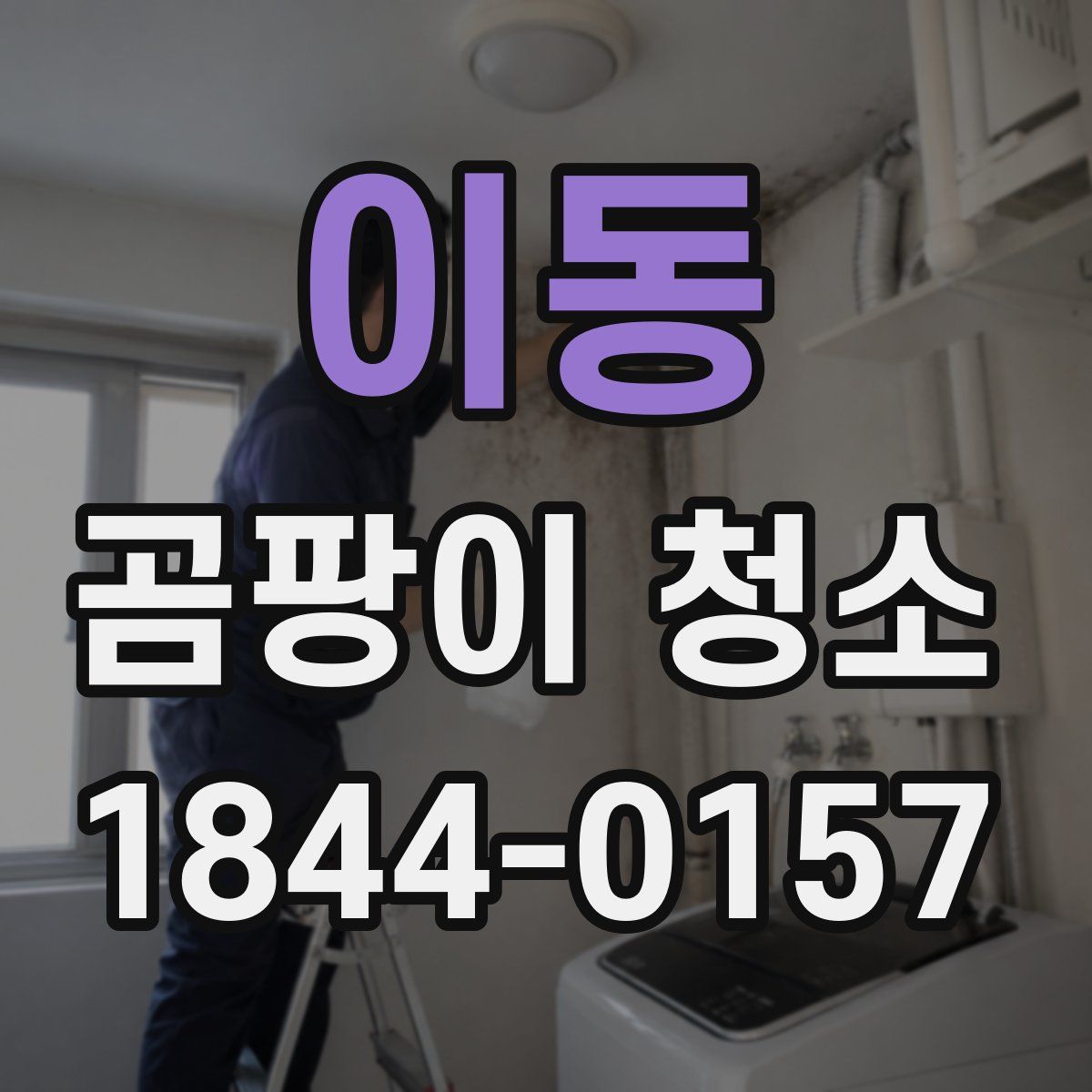 이동 곰팡이 청소