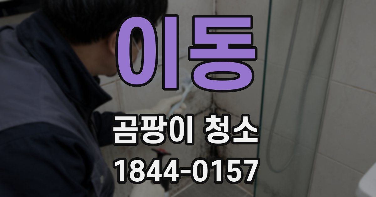 이동 곰팡이 청소