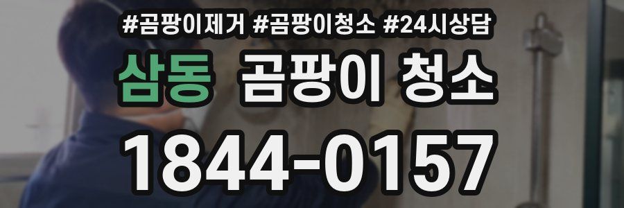 삼동 곰팡이 청소