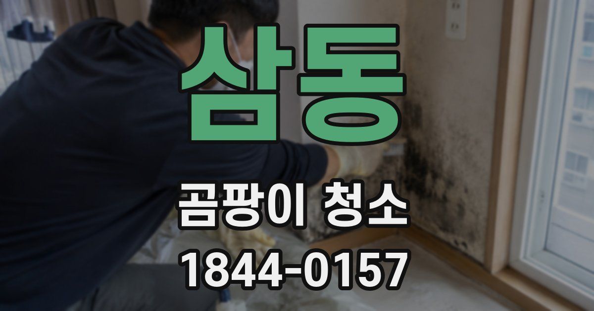 삼동 곰팡이 청소
