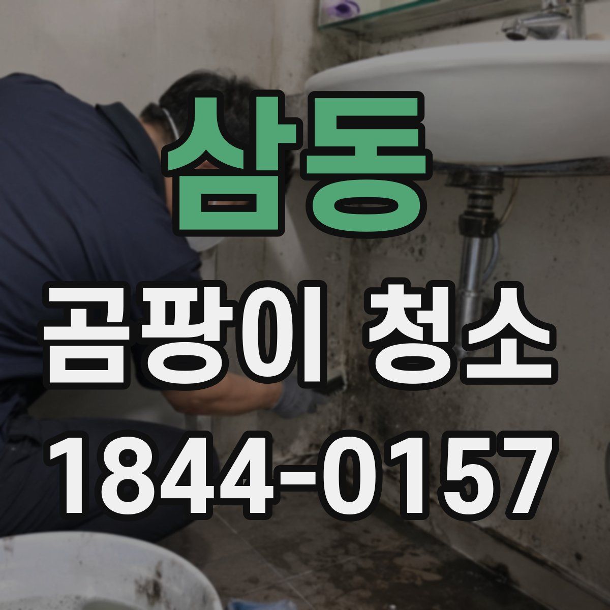 삼동 곰팡이 청소