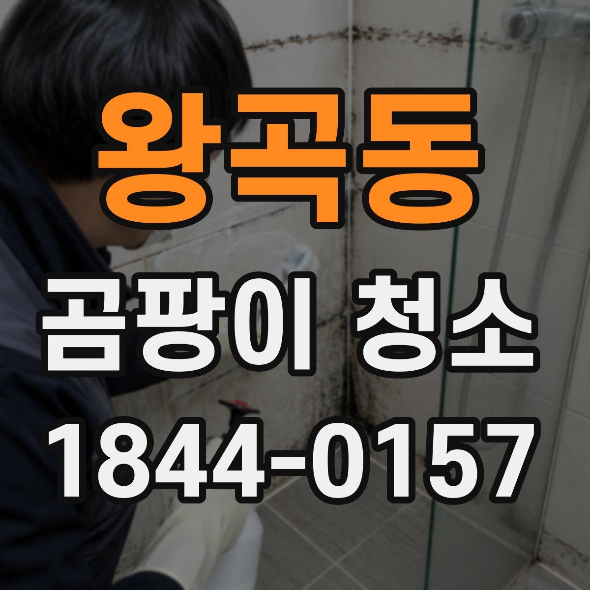 왕곡동 곰팡이 청소