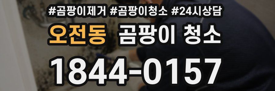 오전동 곰팡이 청소