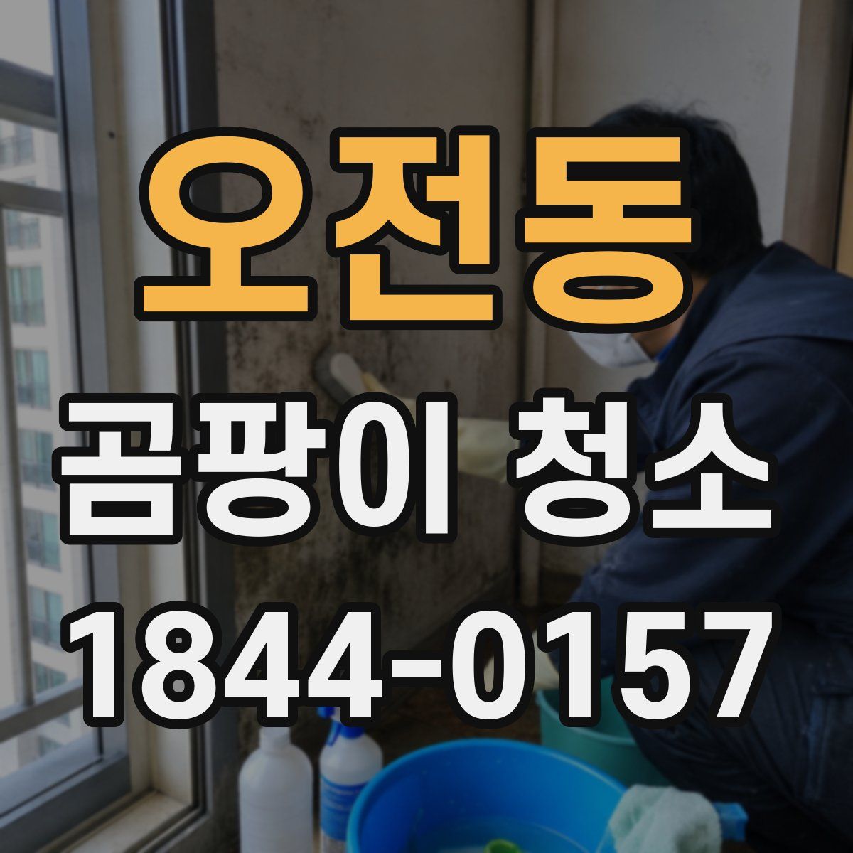 오전동 곰팡이 청소