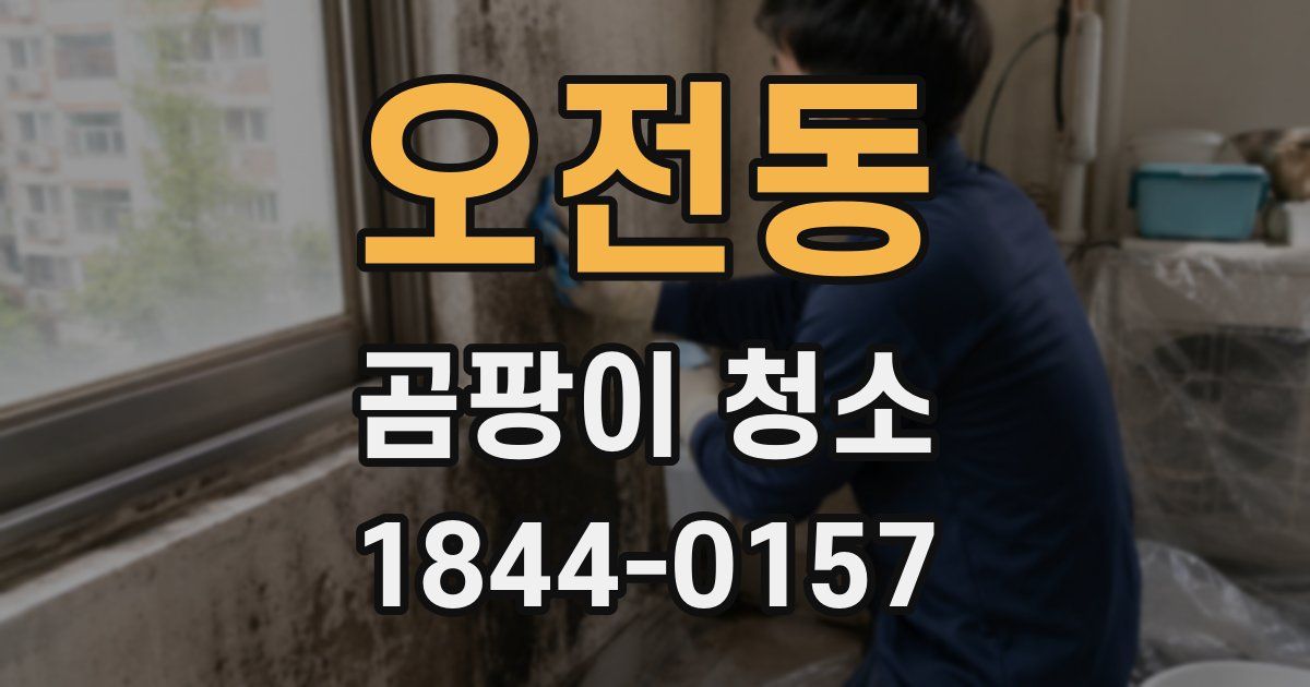 오전동 곰팡이 청소