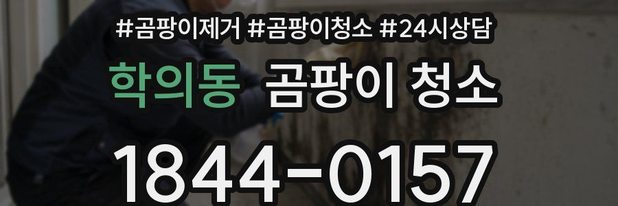 학의동 곰팡이 청소