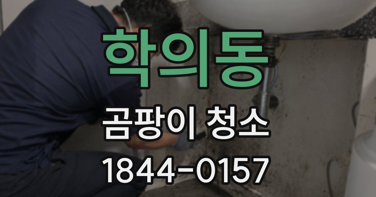 학의동 곰팡이 청소