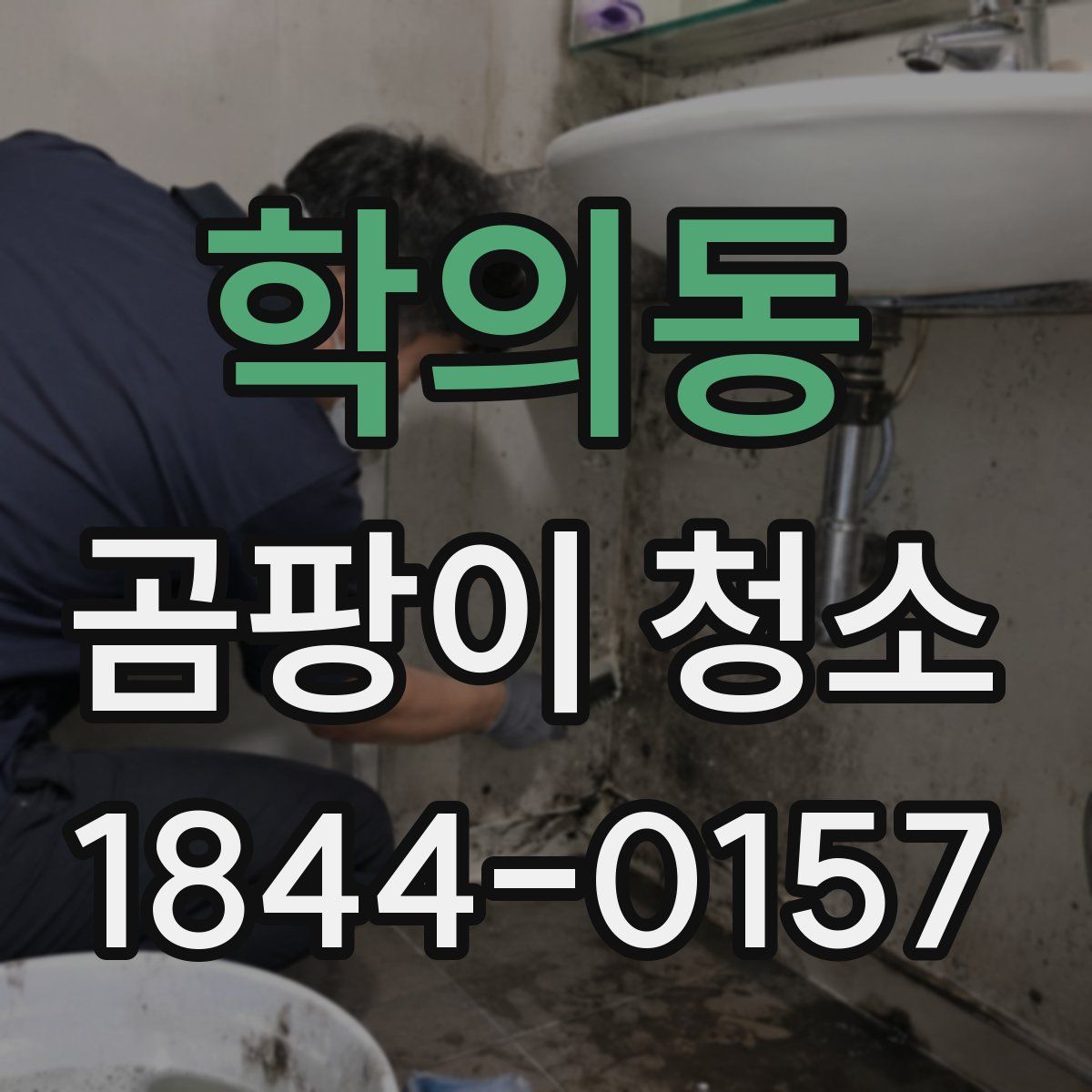 학의동 곰팡이 청소