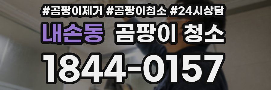내손동 곰팡이 청소