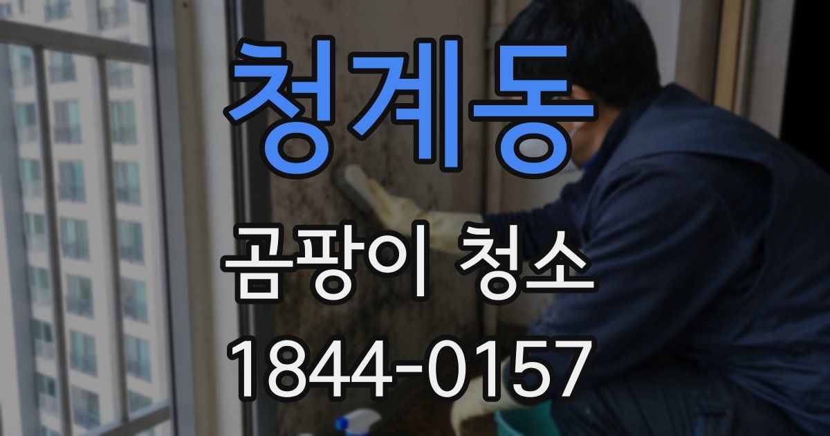 청계동 곰팡이 청소
