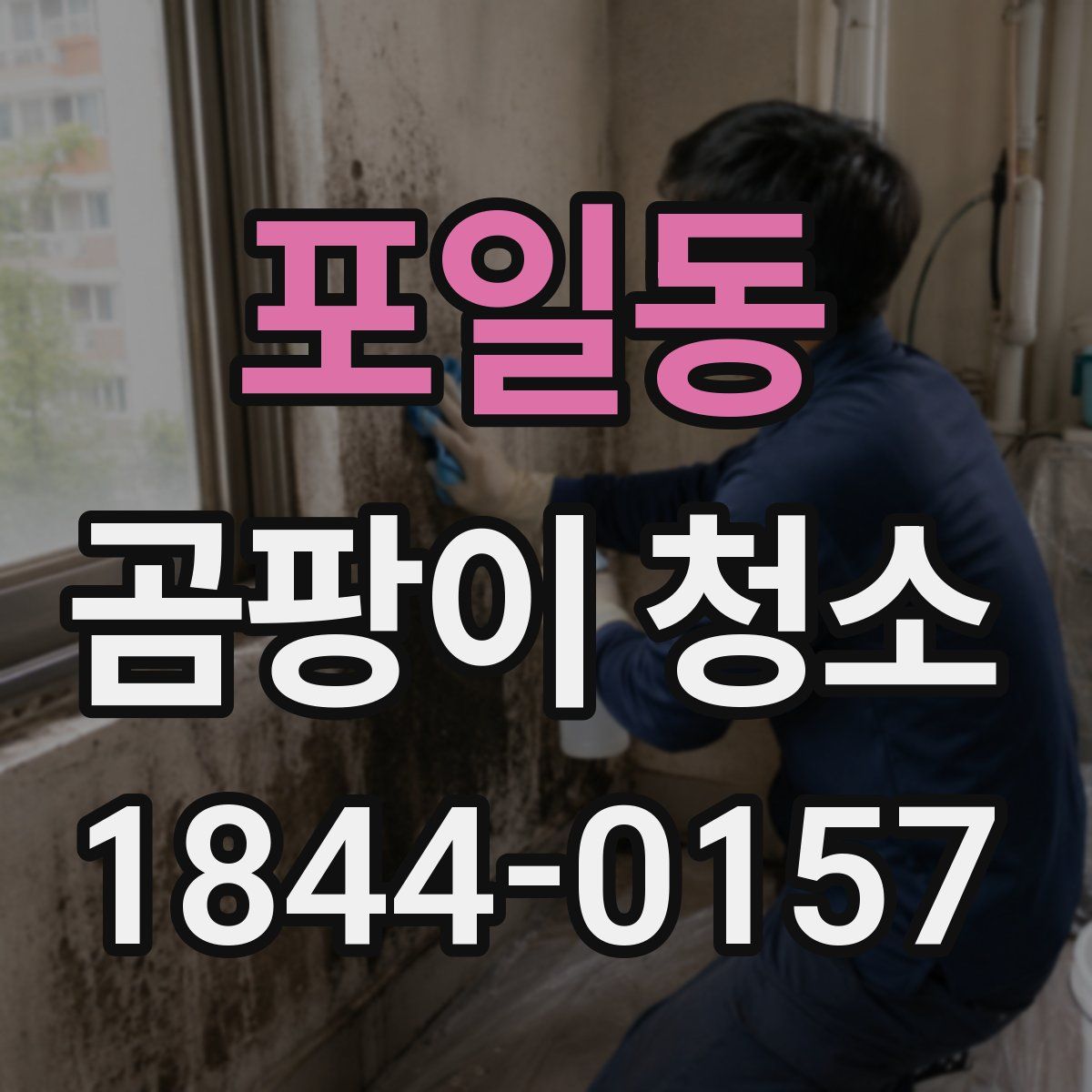 포일동 곰팡이 청소