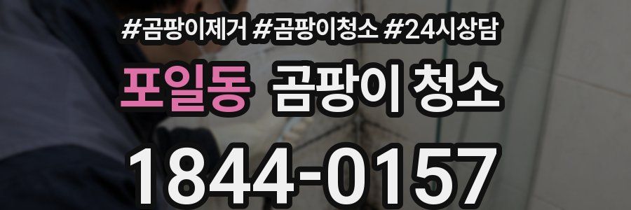 포일동 곰팡이 청소