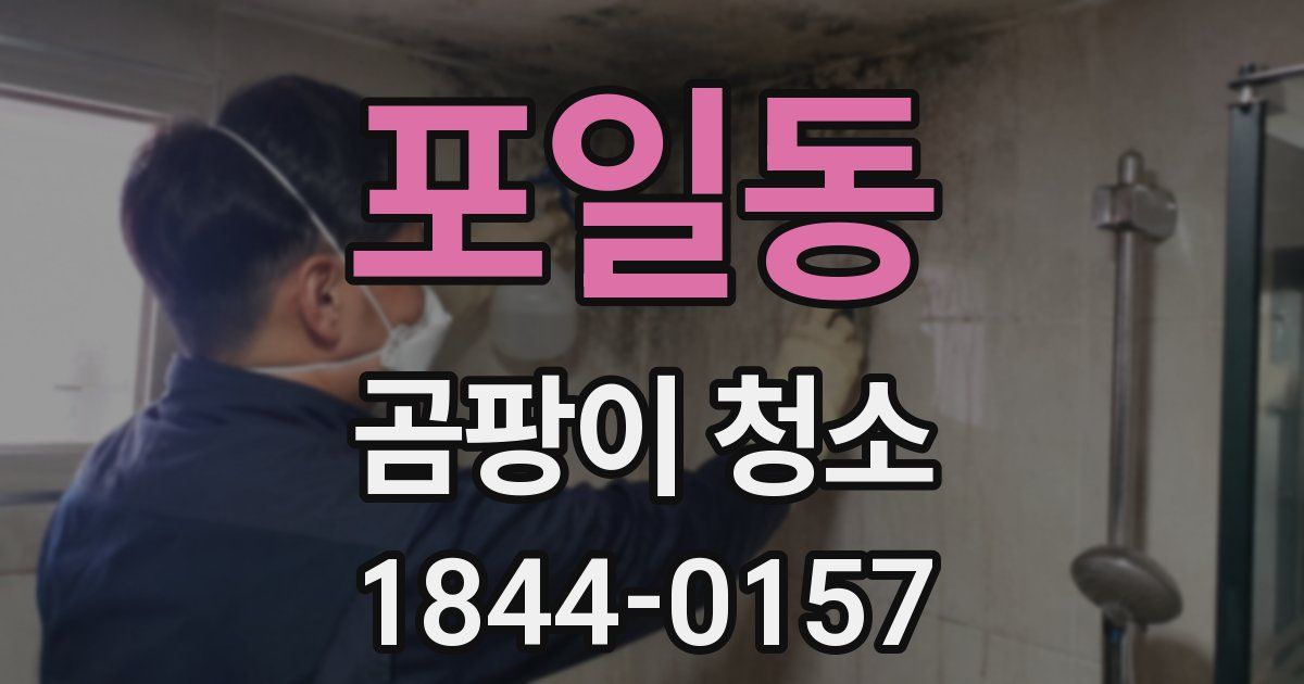 포일동 곰팡이 청소