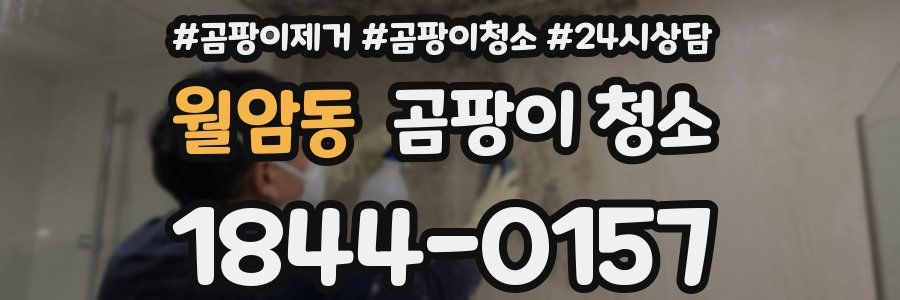 월암동 곰팡이 청소