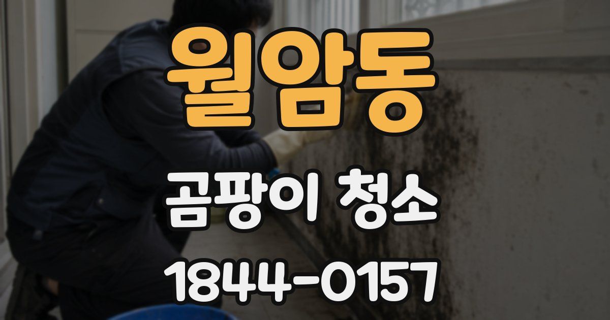 월암동 곰팡이 청소