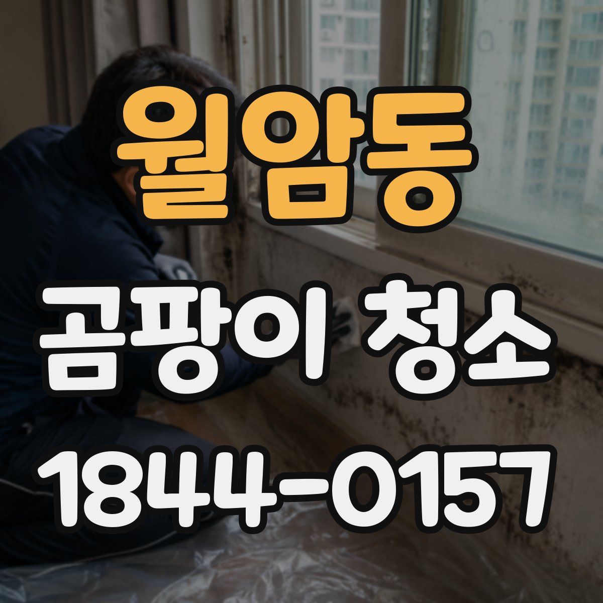 월암동 곰팡이 청소