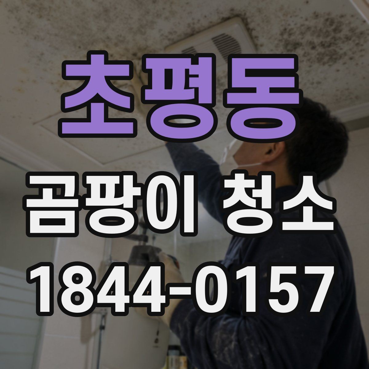 초평동 곰팡이 청소 냄새가 심한 공간에서 원인을 찾는 점검 순서