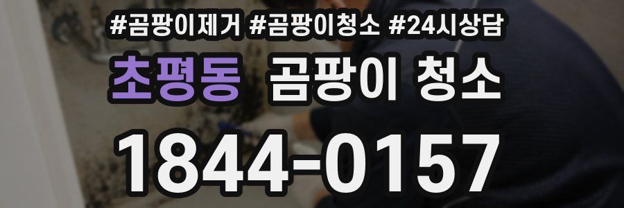초평동 곰팡이 청소
