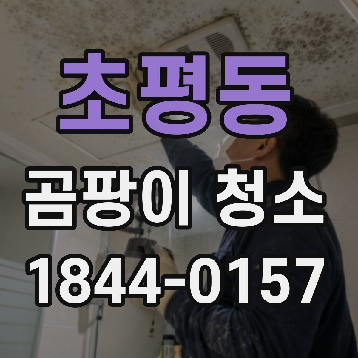 초평동 곰팡이 청소