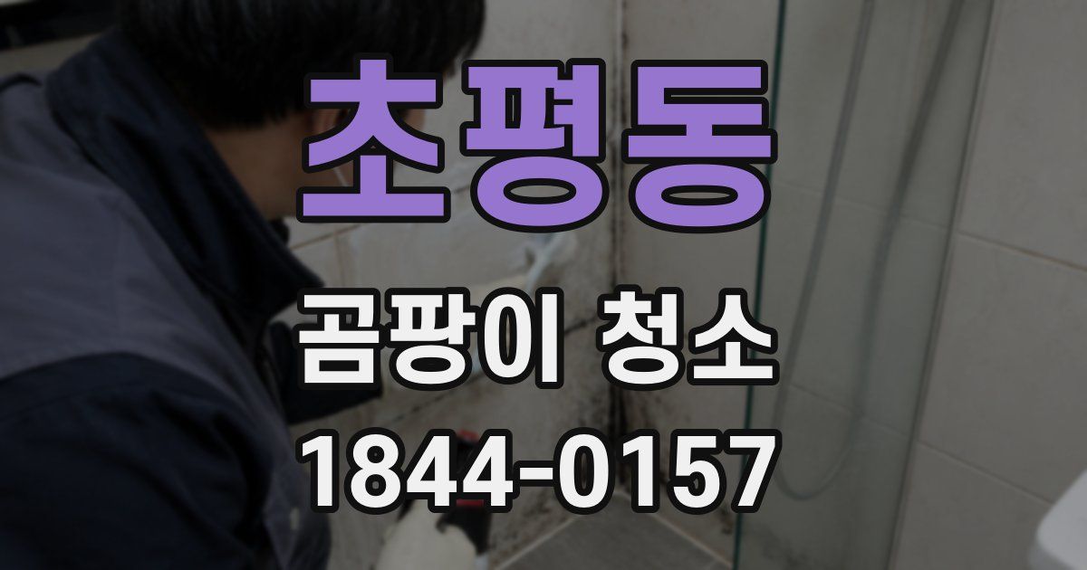 초평동 곰팡이 청소