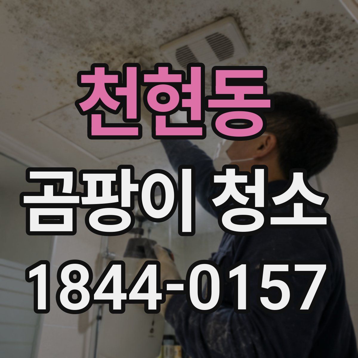 천현동 곰팡이 청소