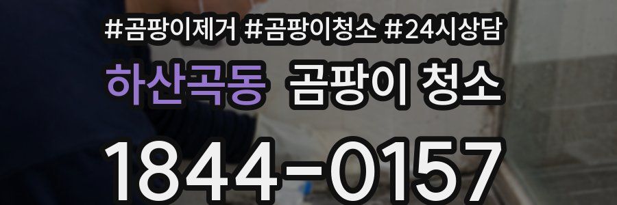하산곡동 곰팡이 청소