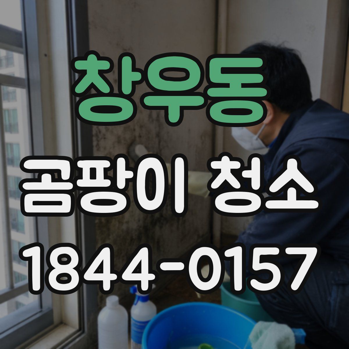 창우동 곰팡이 청소
