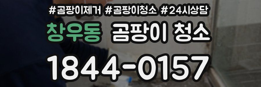 창우동 곰팡이 청소