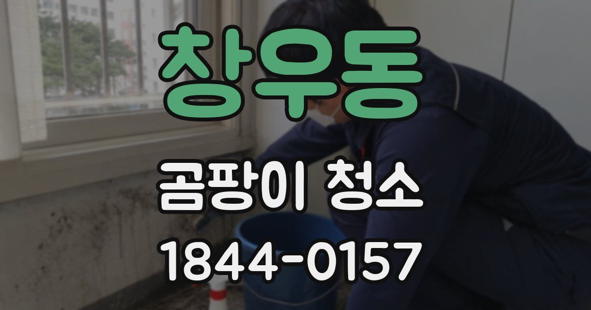 창우동 곰팡이 청소