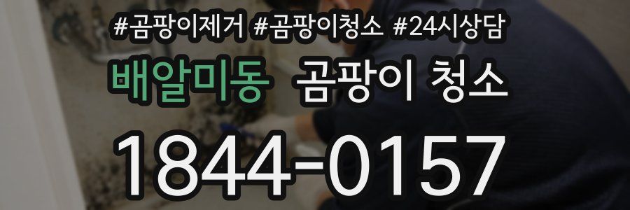 배알미동 곰팡이 청소