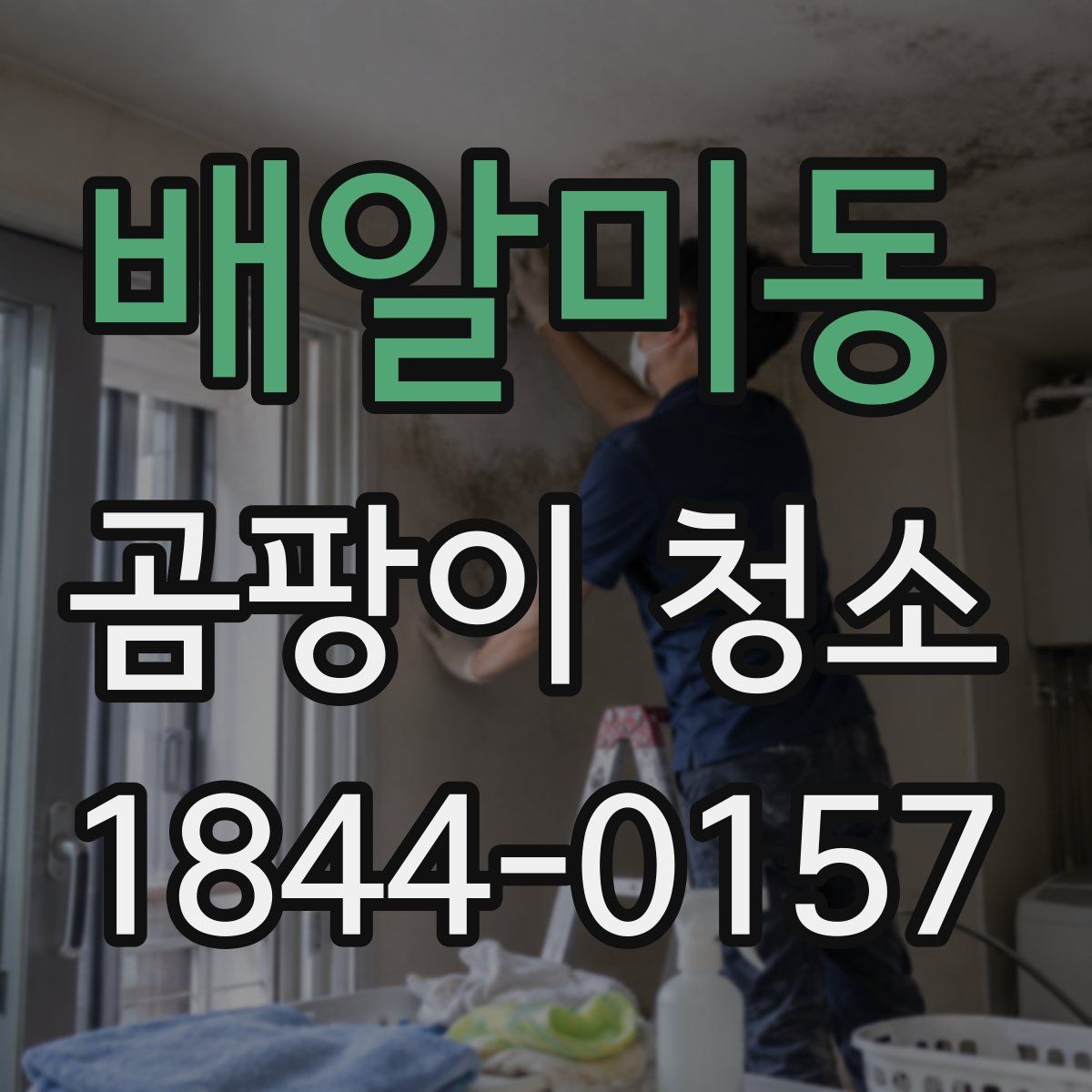 배알미동 곰팡이 청소
