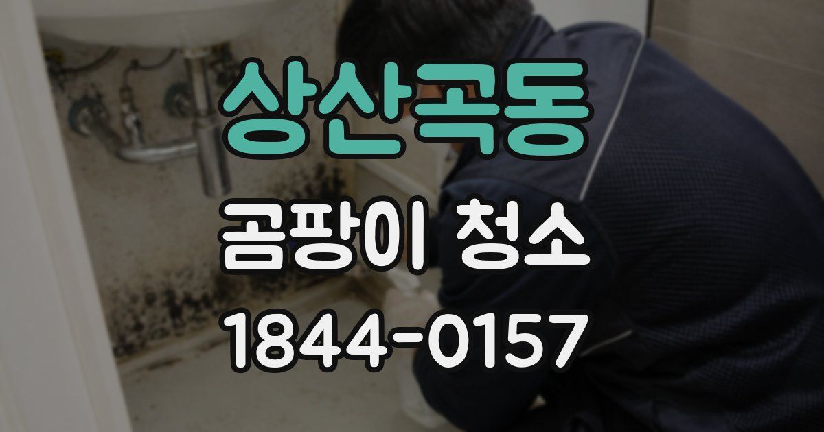 상산곡동 곰팡이 청소