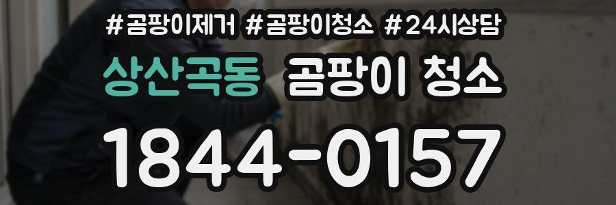 상산곡동 곰팡이 청소