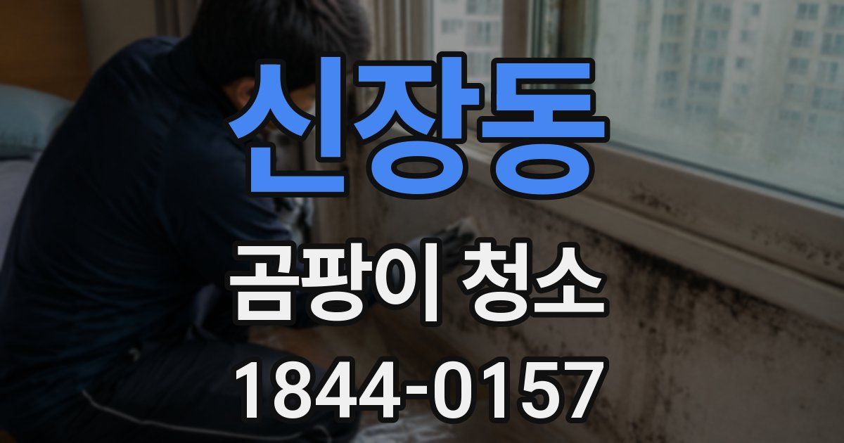 신장동 곰팡이 청소