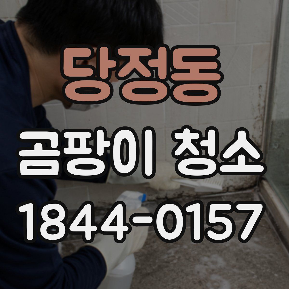 당정동 곰팡이 청소