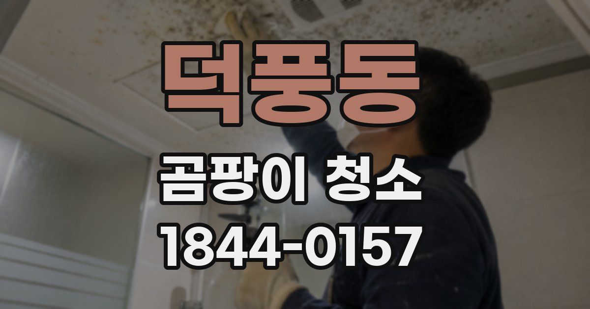 덕풍동 곰팡이 청소