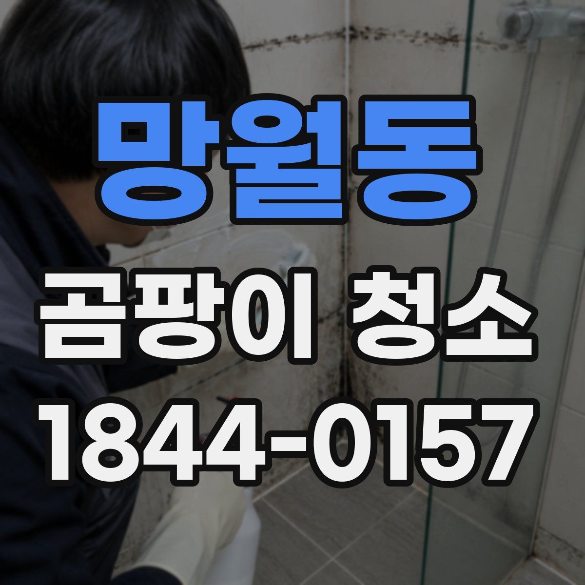 망월동 곰팡이 청소