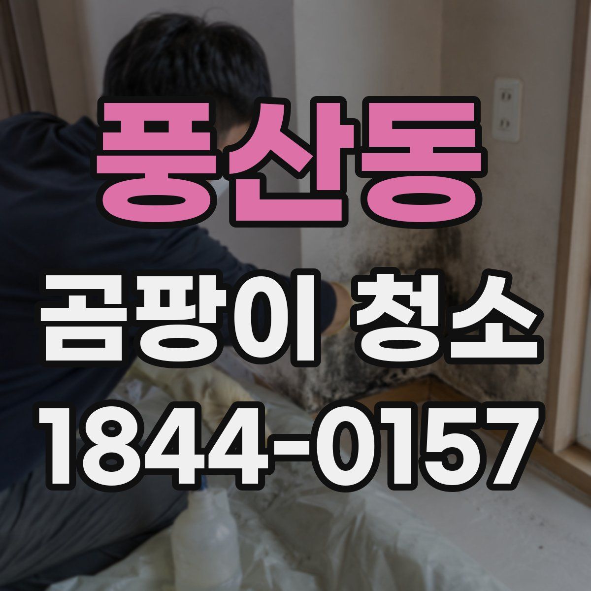 풍산동 곰팡이 청소