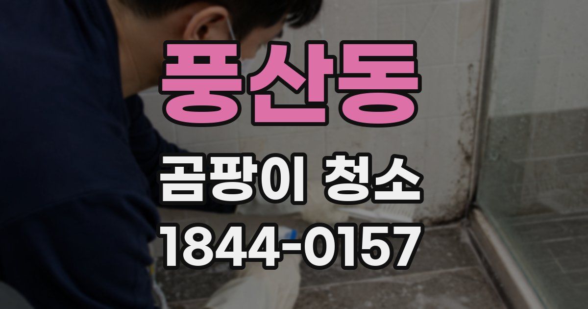 풍산동 곰팡이 청소