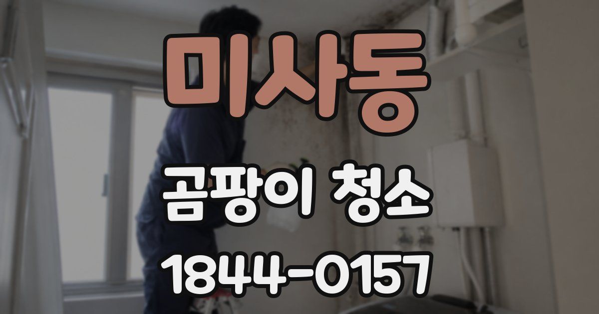 미사동 곰팡이 청소