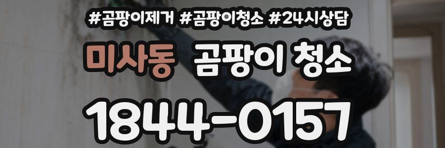 미사동 곰팡이 청소