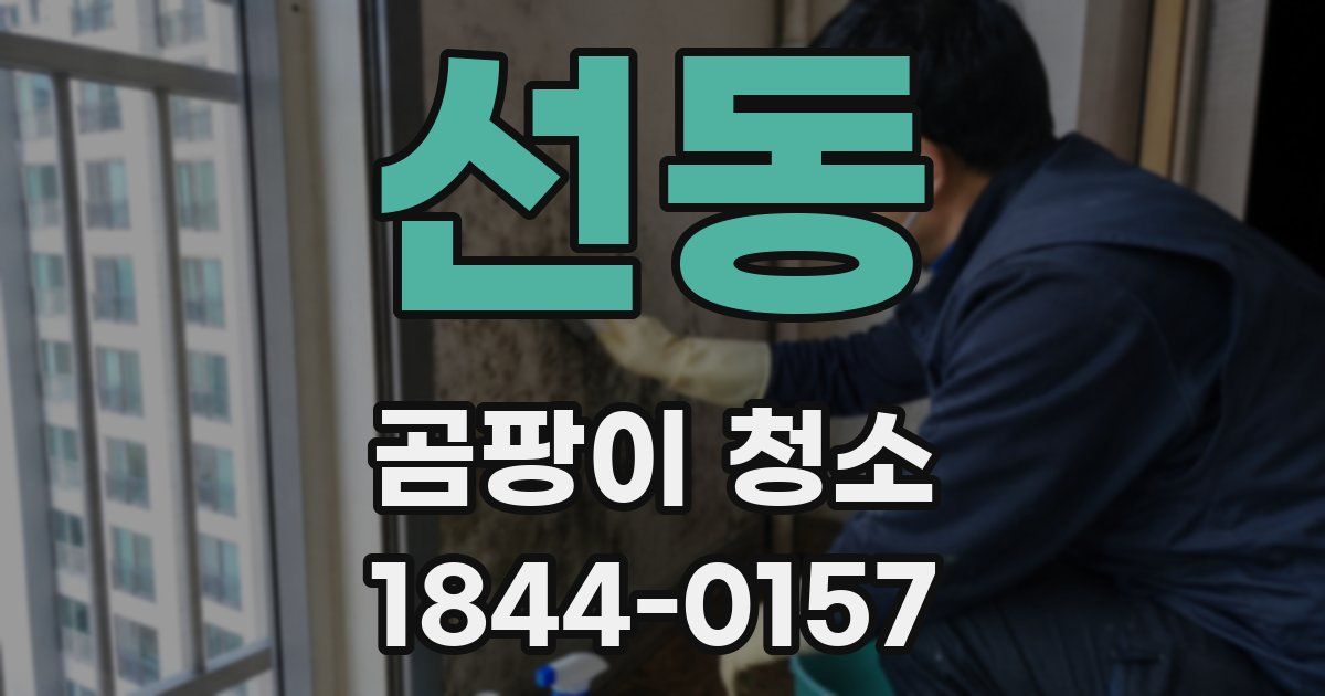 선동 곰팡이 청소