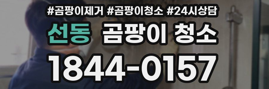 선동 곰팡이 청소
